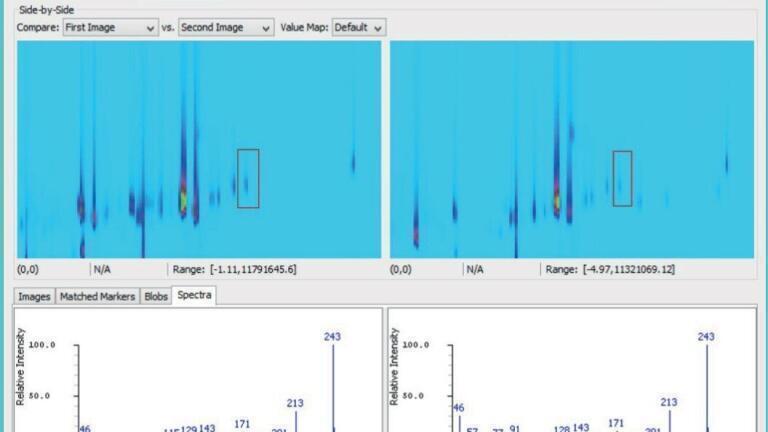 Figure 3 - The Spectra Tab displays side-by-side the spectra for any selected blobs of the two images.